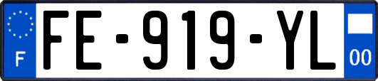 FE-919-YL