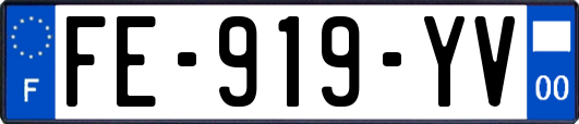 FE-919-YV