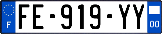 FE-919-YY