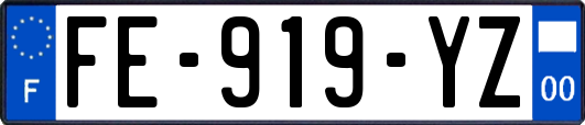 FE-919-YZ
