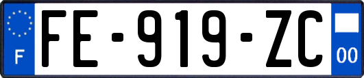 FE-919-ZC