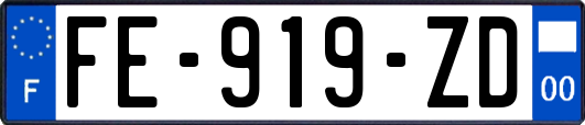 FE-919-ZD
