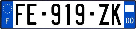 FE-919-ZK