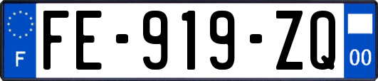 FE-919-ZQ