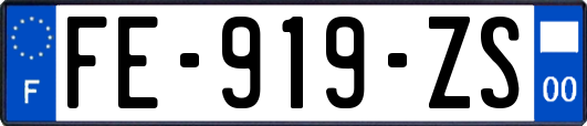 FE-919-ZS