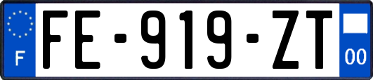 FE-919-ZT