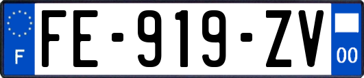 FE-919-ZV