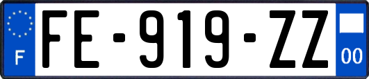 FE-919-ZZ