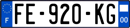 FE-920-KG
