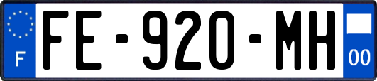 FE-920-MH