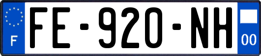 FE-920-NH