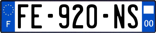 FE-920-NS