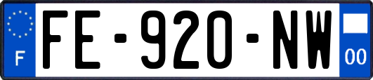 FE-920-NW