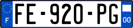 FE-920-PG