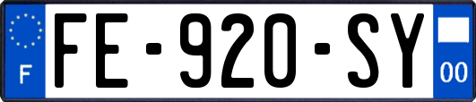 FE-920-SY