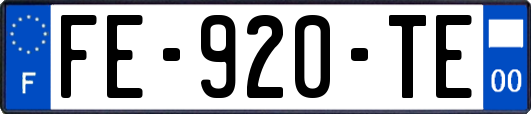 FE-920-TE