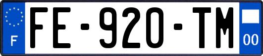 FE-920-TM