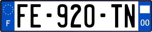 FE-920-TN
