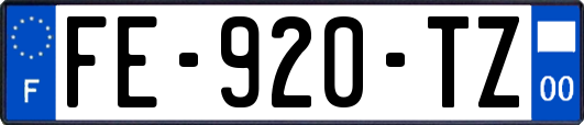 FE-920-TZ