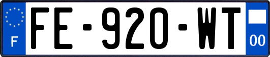 FE-920-WT