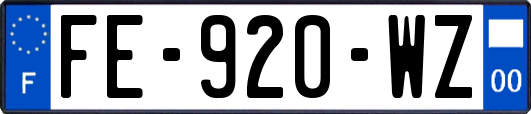 FE-920-WZ