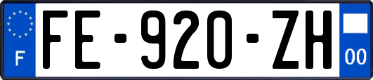 FE-920-ZH