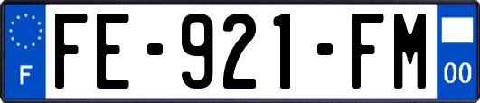 FE-921-FM