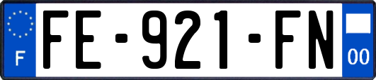 FE-921-FN