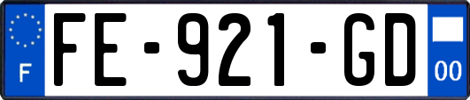 FE-921-GD
