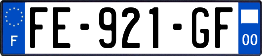 FE-921-GF