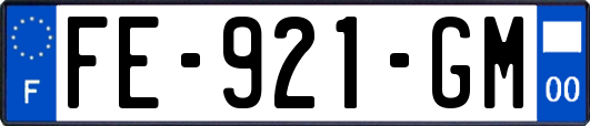 FE-921-GM