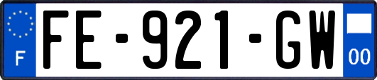 FE-921-GW