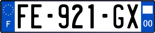 FE-921-GX
