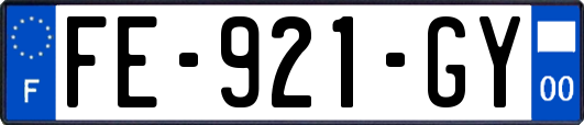 FE-921-GY
