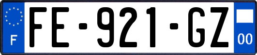 FE-921-GZ