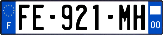 FE-921-MH