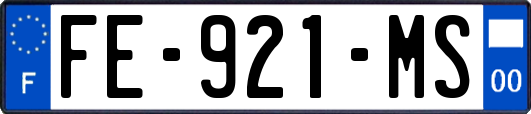 FE-921-MS