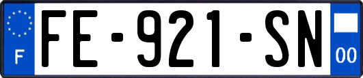 FE-921-SN