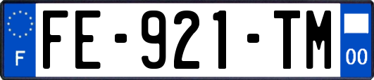FE-921-TM