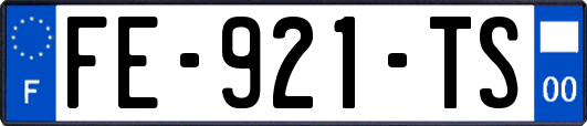 FE-921-TS