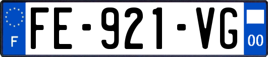 FE-921-VG