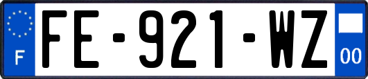 FE-921-WZ