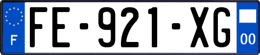 FE-921-XG