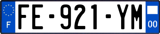 FE-921-YM