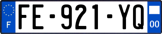 FE-921-YQ