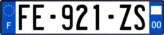 FE-921-ZS