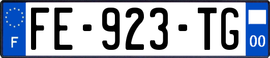 FE-923-TG