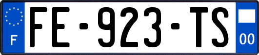 FE-923-TS