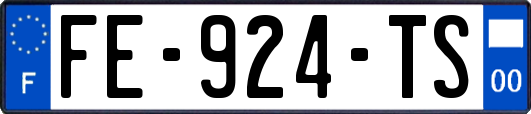FE-924-TS