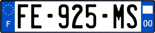 FE-925-MS